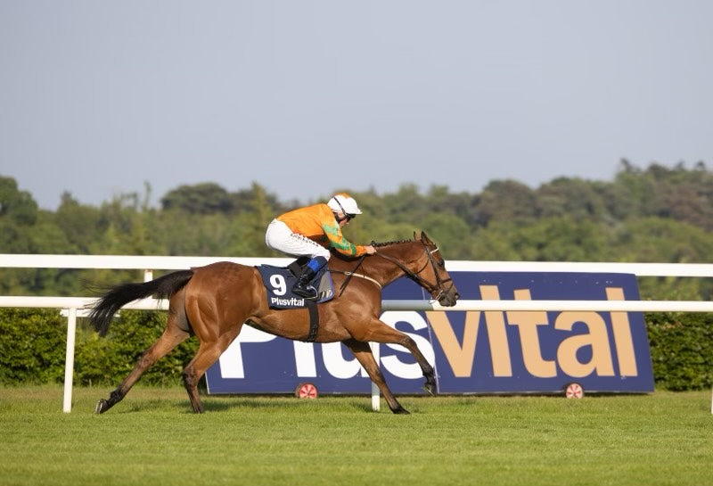 Summer racing off to a flying start
