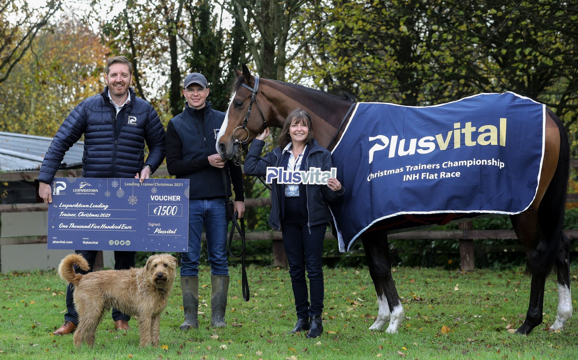 Plusvital to sponsor the leading trainer award at the Leopardstown Christmas Festival