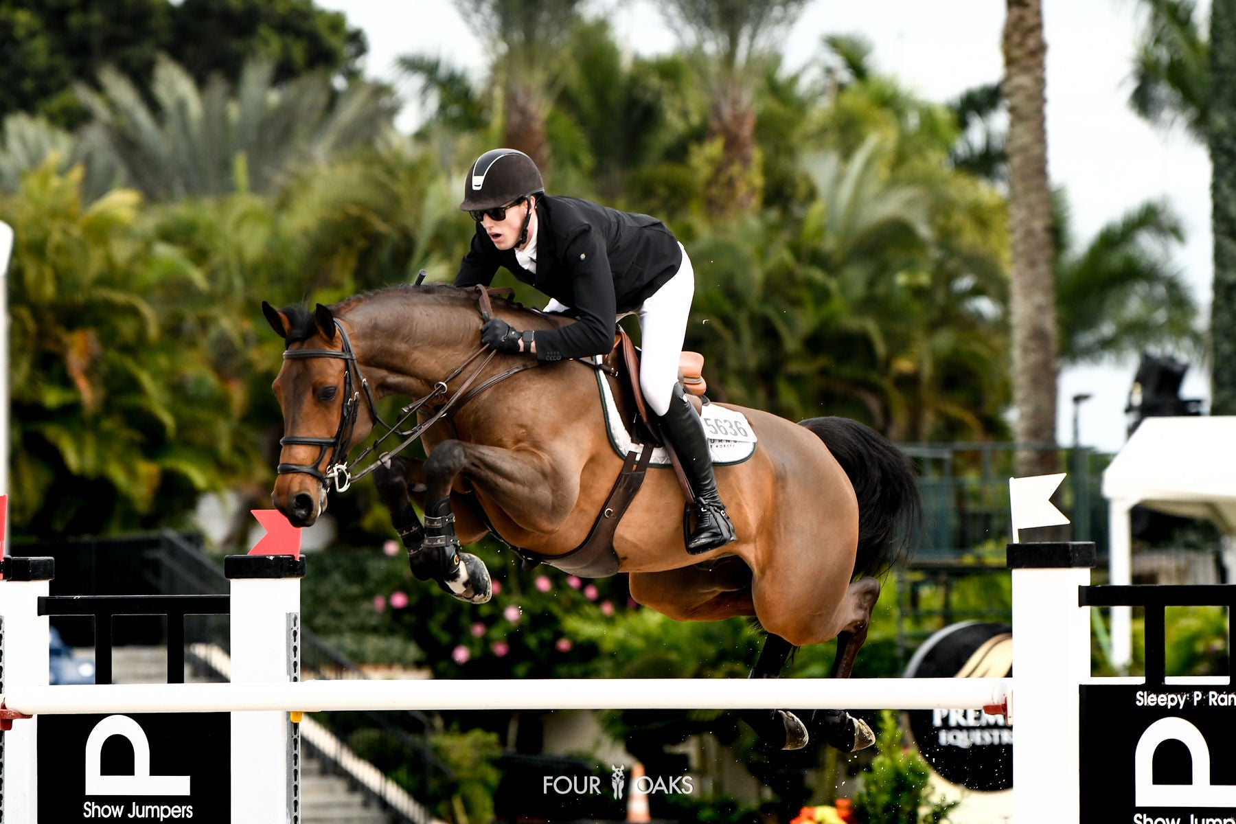 Andrew Bourns joins Team Plusvital as Brand Ambassador