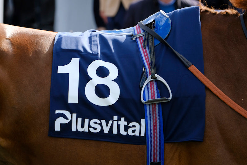 Barbury Racecourse Announces Initiatives To Generate Runners