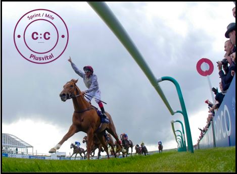 Plusvital Confirms Equinome Speed Gene Test Result For Galileo Gold