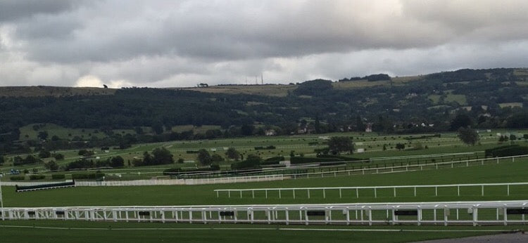 Eight Cheltenham Festival winners supplemented by Plusvital
