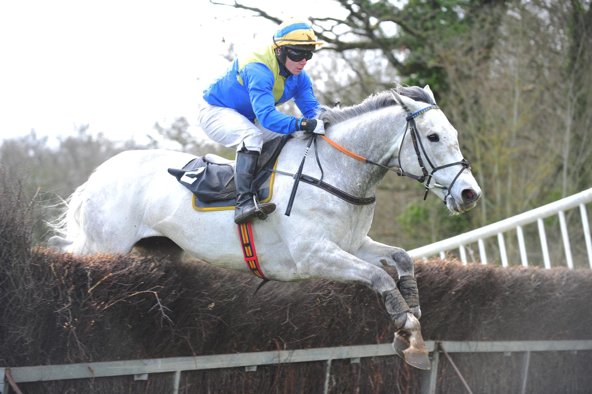 Plusvital Announces New Partnership With Jockey Jamie Hayes