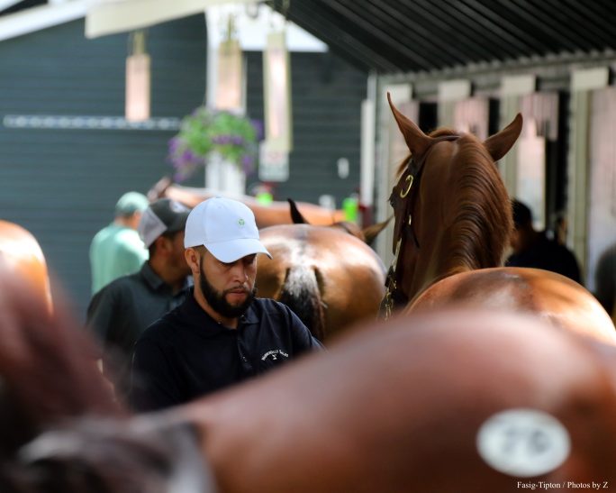 Speed Gene Test Could Offer Clues On Yearling Returns