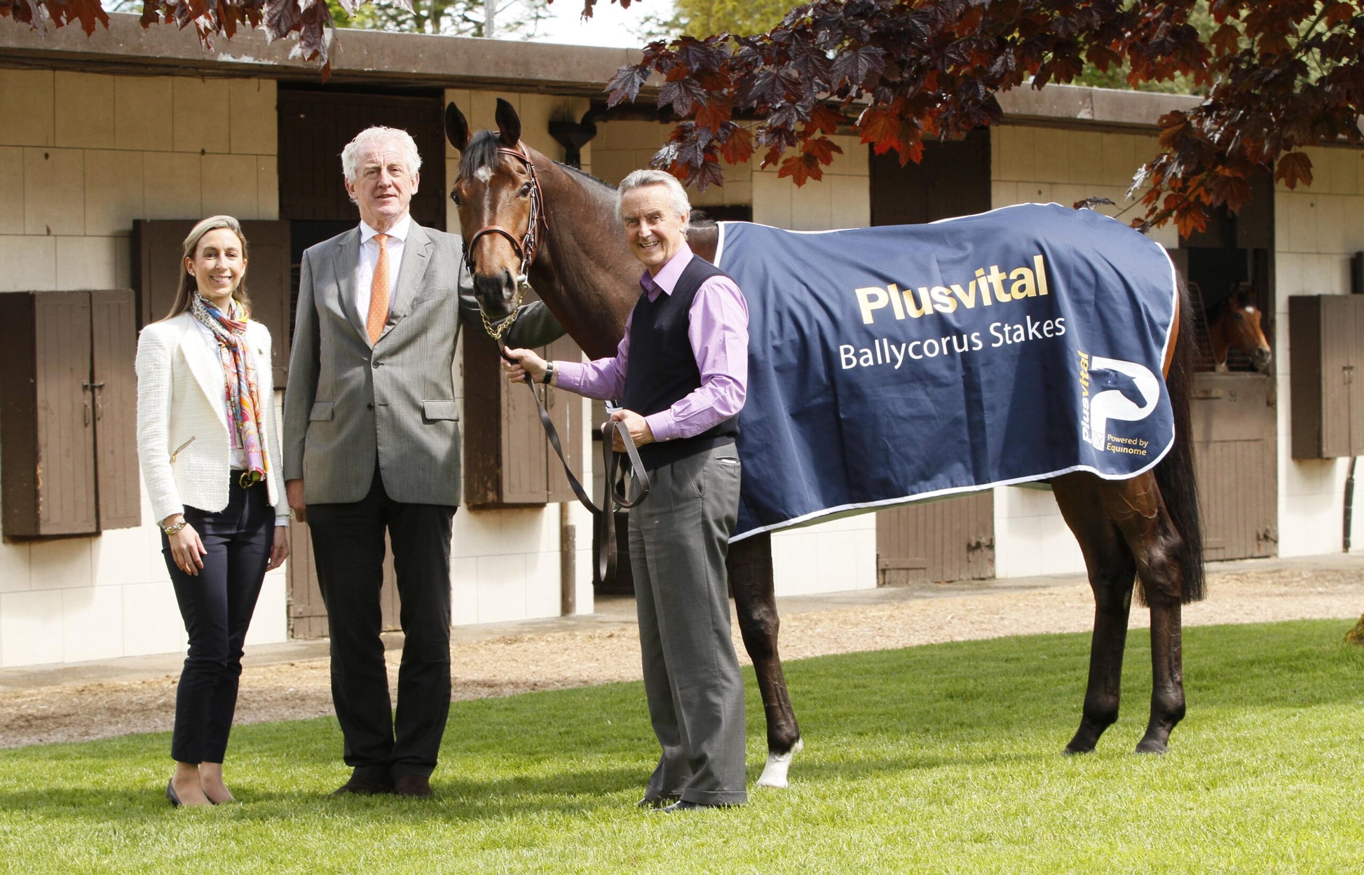 Leopardstown And Plusvital Partner For Plusvital Ballycorus Stakes