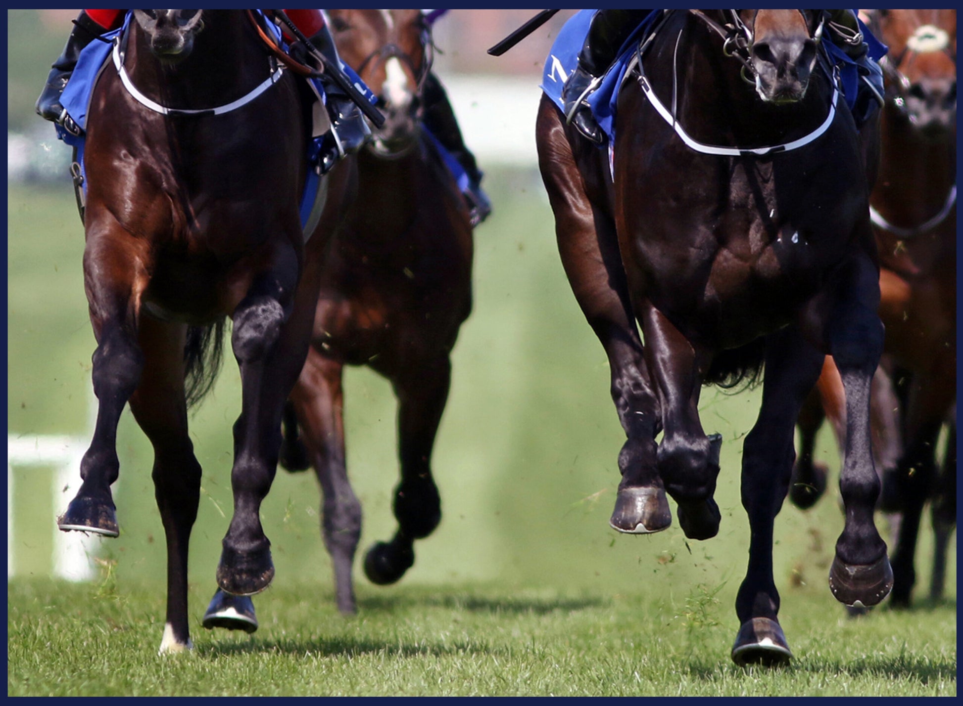 New Study Shows How Testing For The ‘Speed Gene’ Can Maximise A Racehorse’s Earning Potential