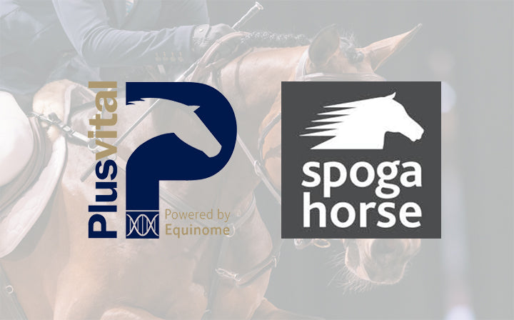 Plusvital To Attend Spoga Horse Autumn 2018