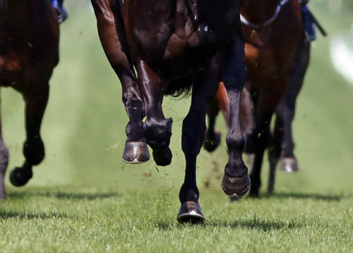 Sonnyboyliston gives Plusvital Ambassador Johnny Murtagh his first Classic success as a trainer