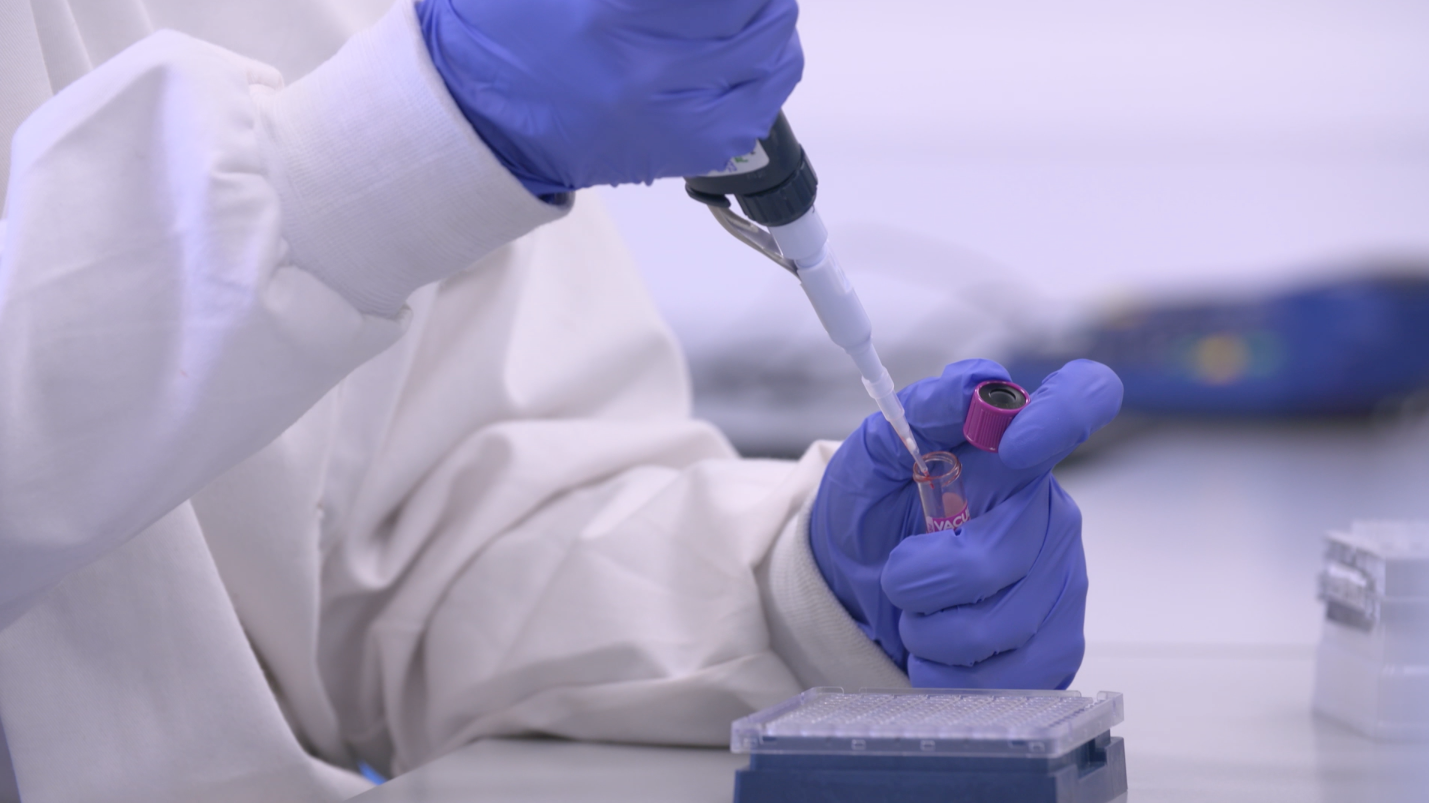 SINE Of A Winning Thoroughbred: New Speed Gene Research