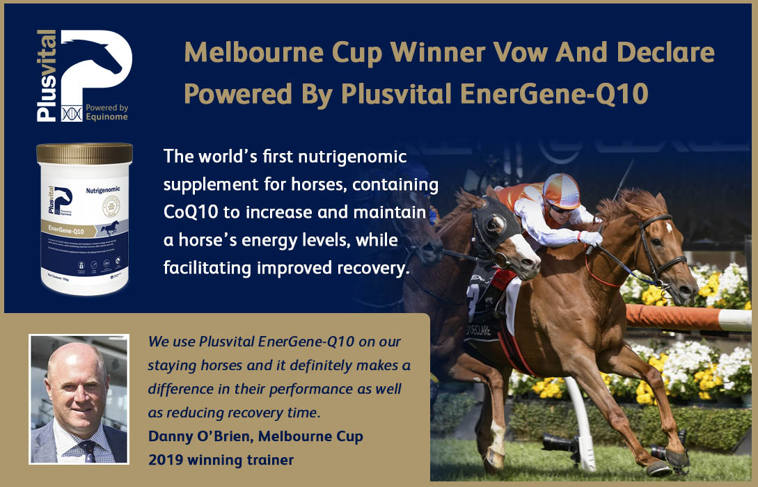 Scientists Show Increase Of Key Nutrient For Energy Production In Horse Muscle