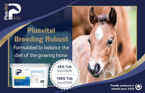 Plusvital Breeding Robust: Suitable For All Breeding Stock