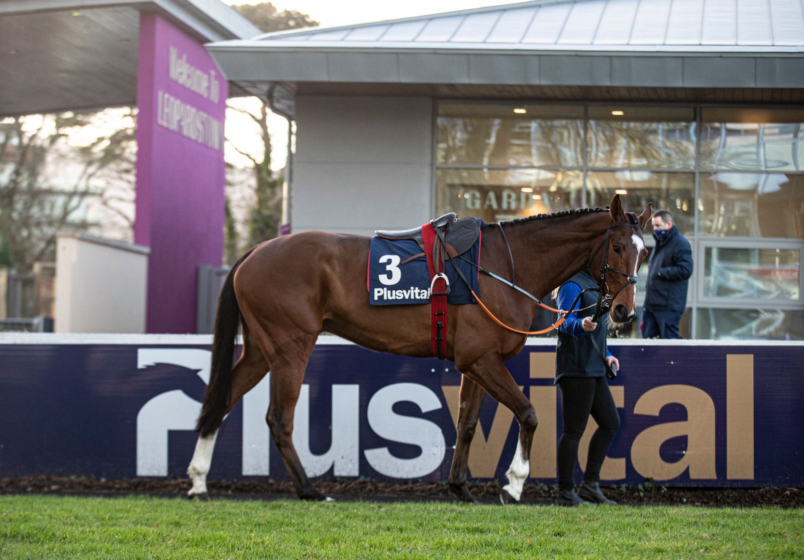 Plusvital return as title sponsor of the Trainers’ Championship at the Leopardstown Christmas Festival
