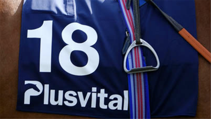 Plusvital to support stablestaff throughout the Naas Flat season