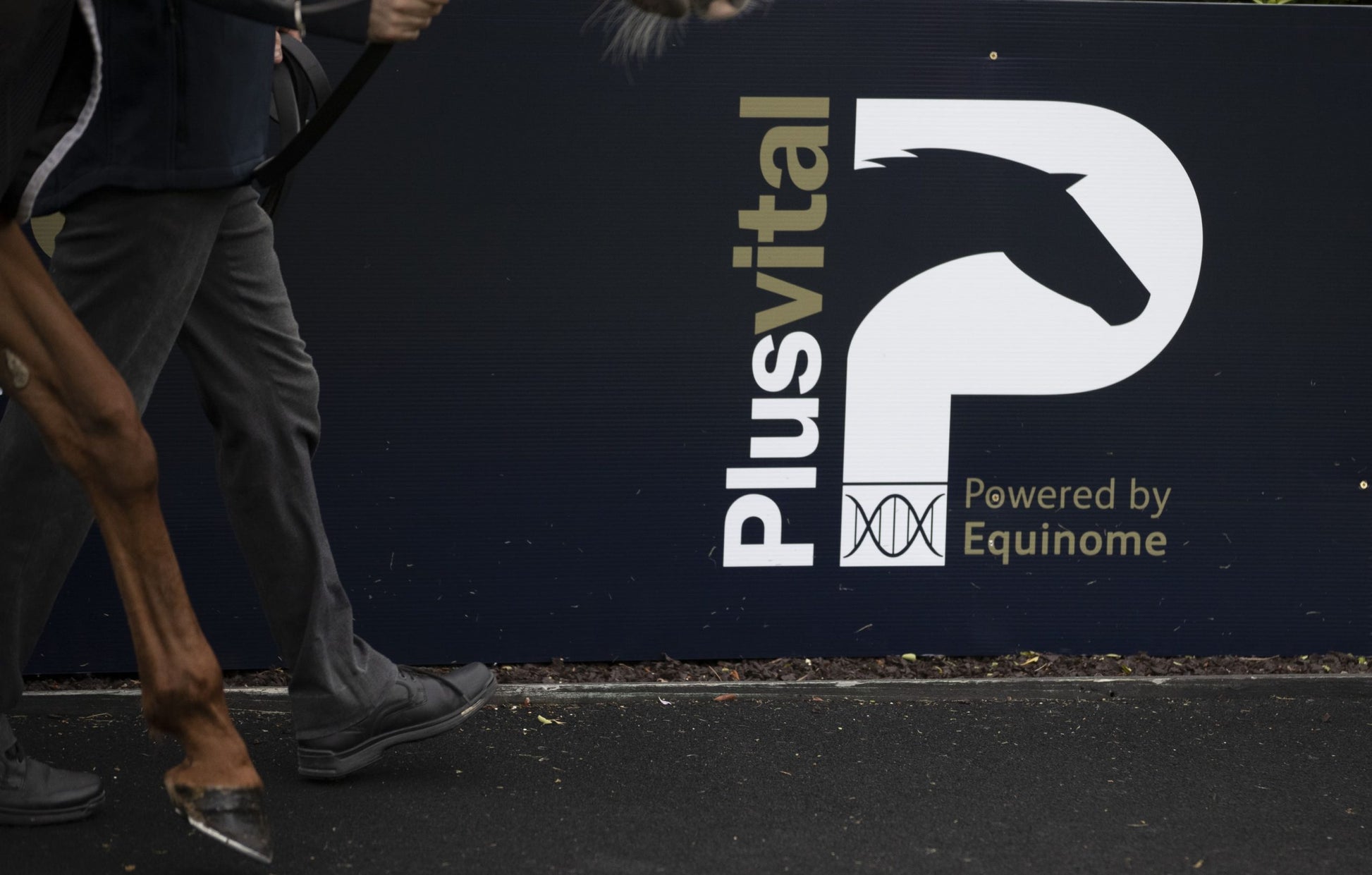 Plusvital announce new partnership with Leopardstown Racecourse