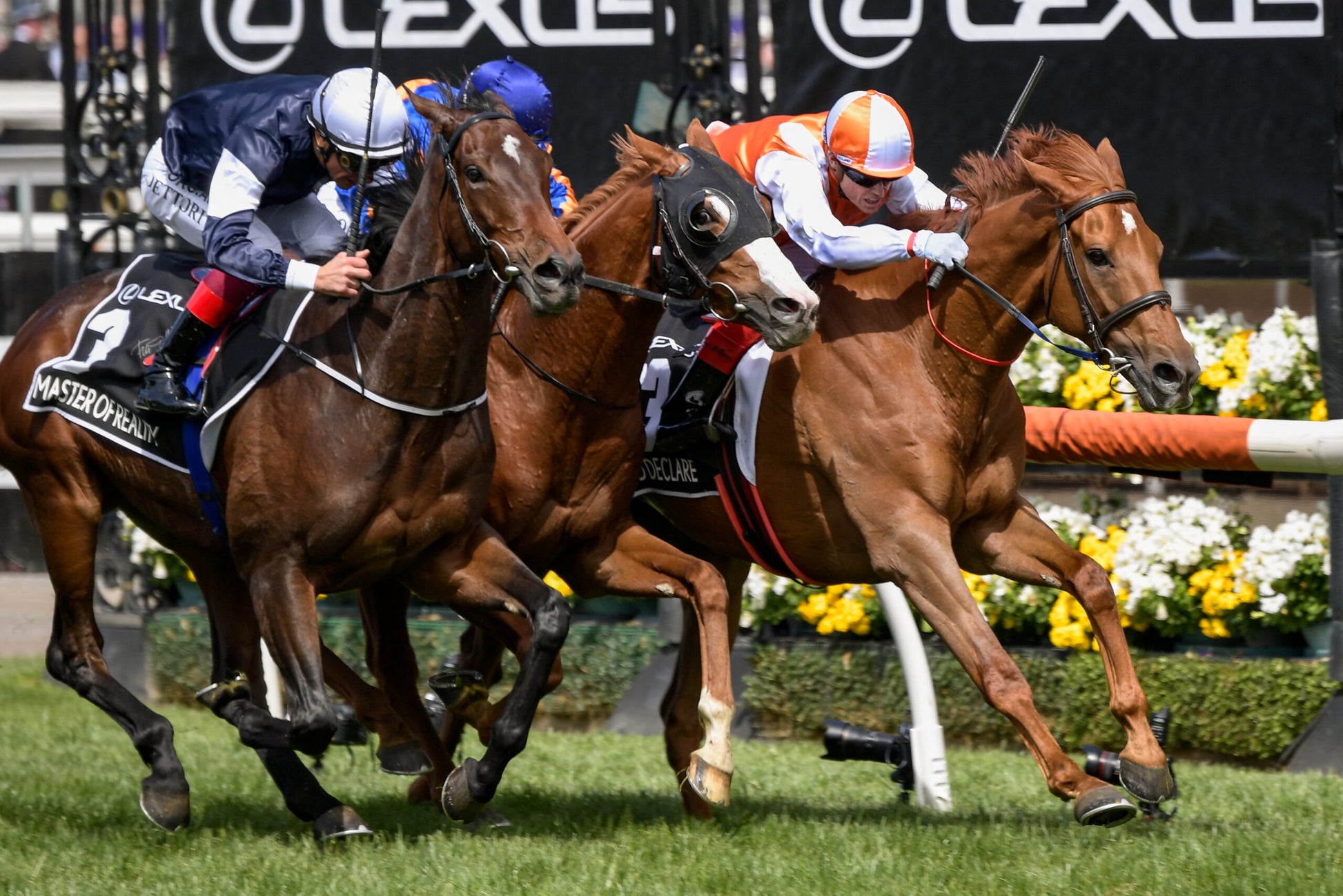 Australian Breeders Capture Genes To Produce Winning Thoroughbreds
