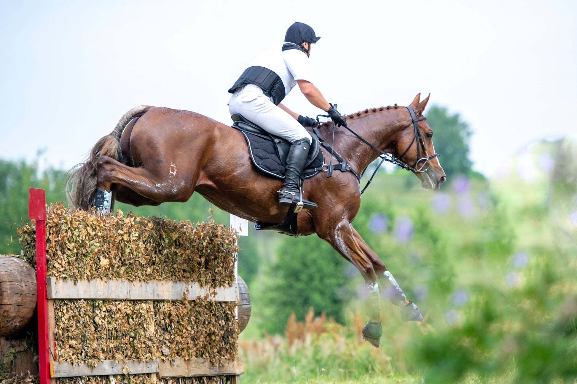 Support Your Horse During Competition Season
