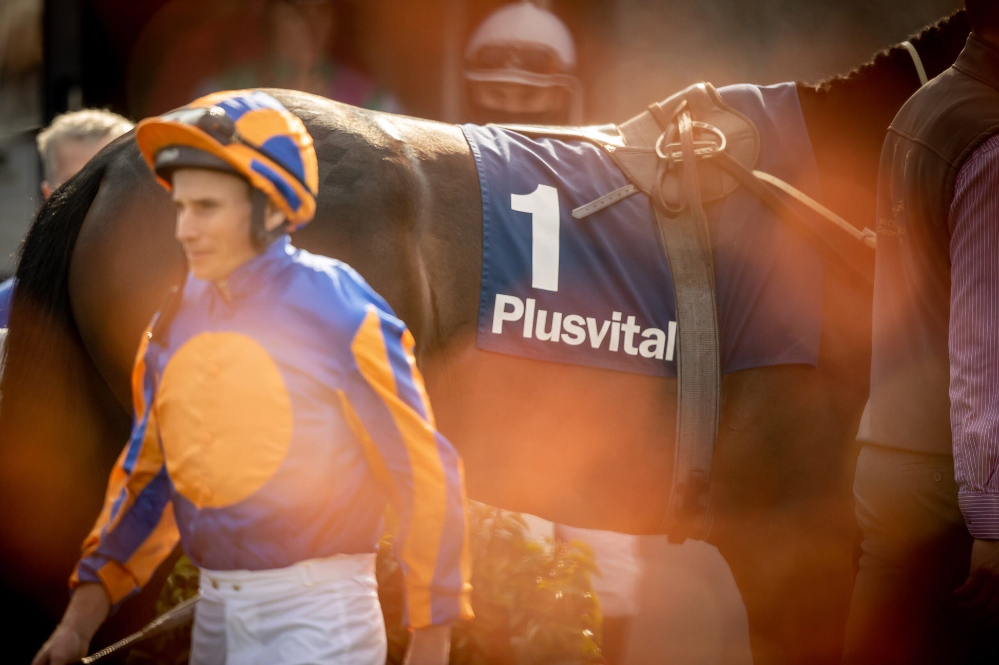 PLUSVITAL CONTINUE SPONSORSHIP OF THE DEVOY STAKES AND RECOGNISE ALL CONNECTIONS
