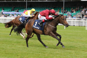 Top Five Supplements To Improve The Health And Performance Of Your Racehorse