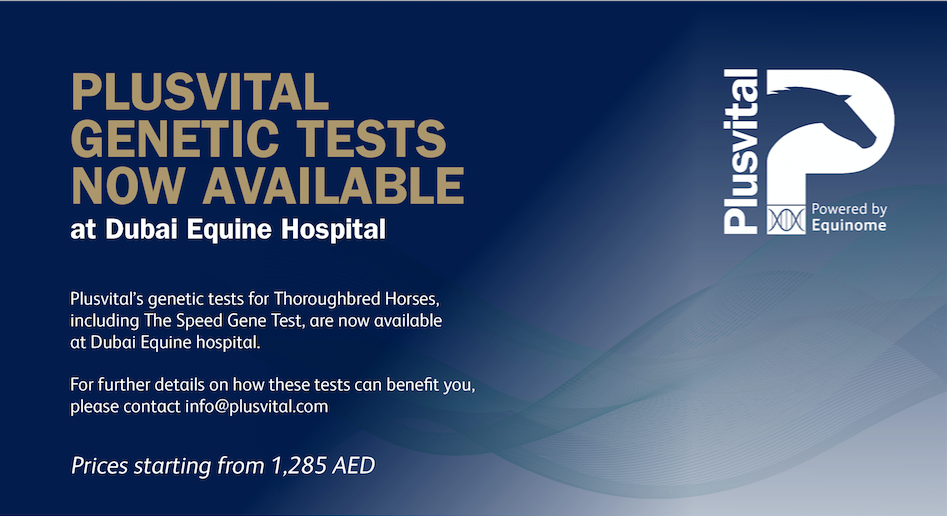 Plusvital Genetic Tests Now Available At Dubai Equine Hospital