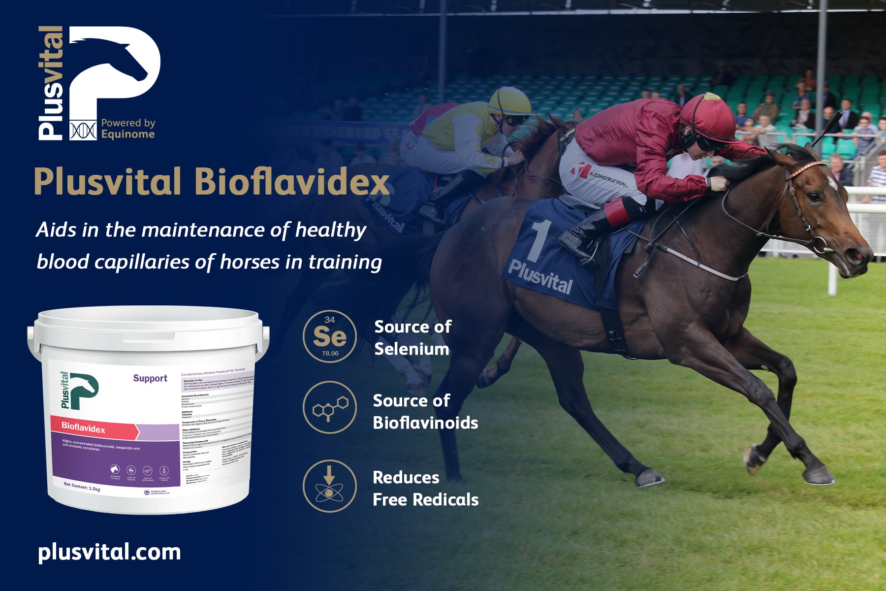 EIPH: Everything You Need To Know About &#8220;Bleeding&#8221; In Horses