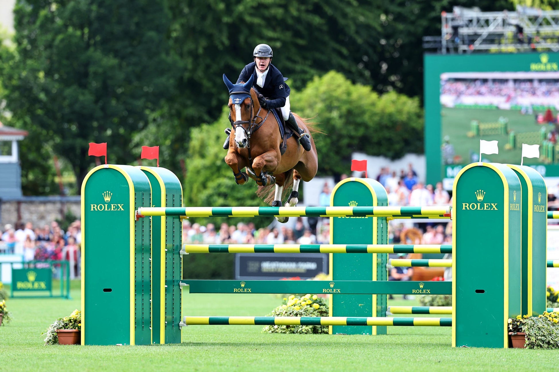 From the Plusvital Premier Series to the 5⭐ Stage at Dublin Horse Show