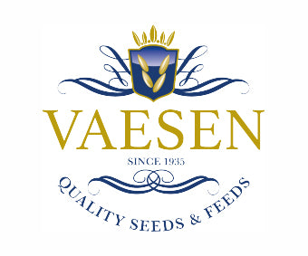 Plusvital Supplement Range Now Available In Belgium And The Netherlands