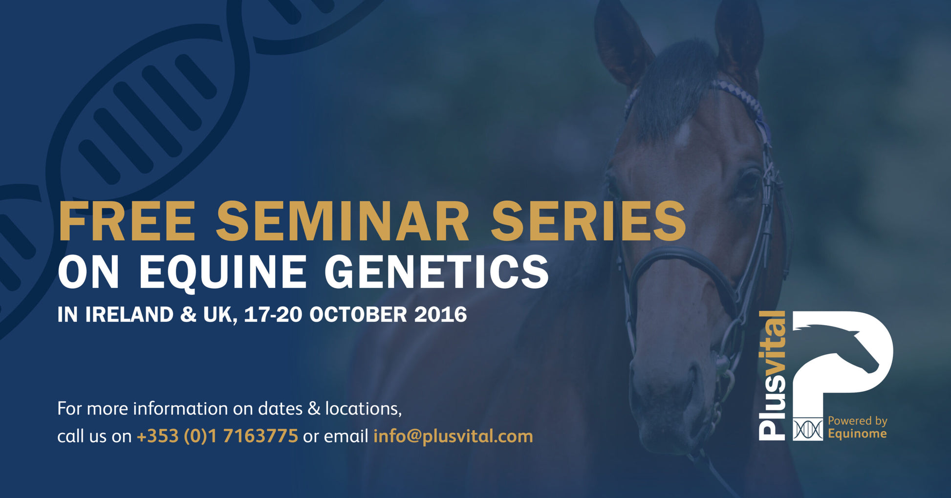 Free Seminar Series On Equine Genetics To Take Place In Ireland And The UK