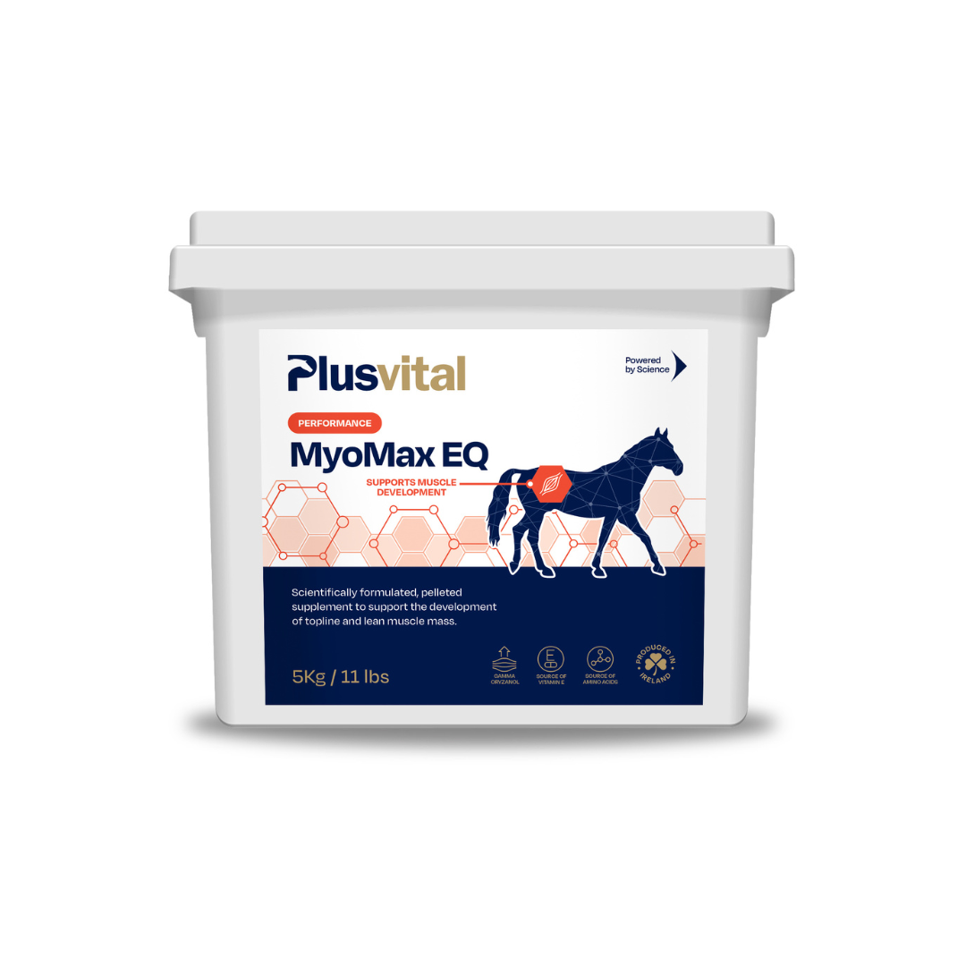 Introducing Plusvital MyoMax EQ: A Breakthrough in Equine Muscle Development & Support