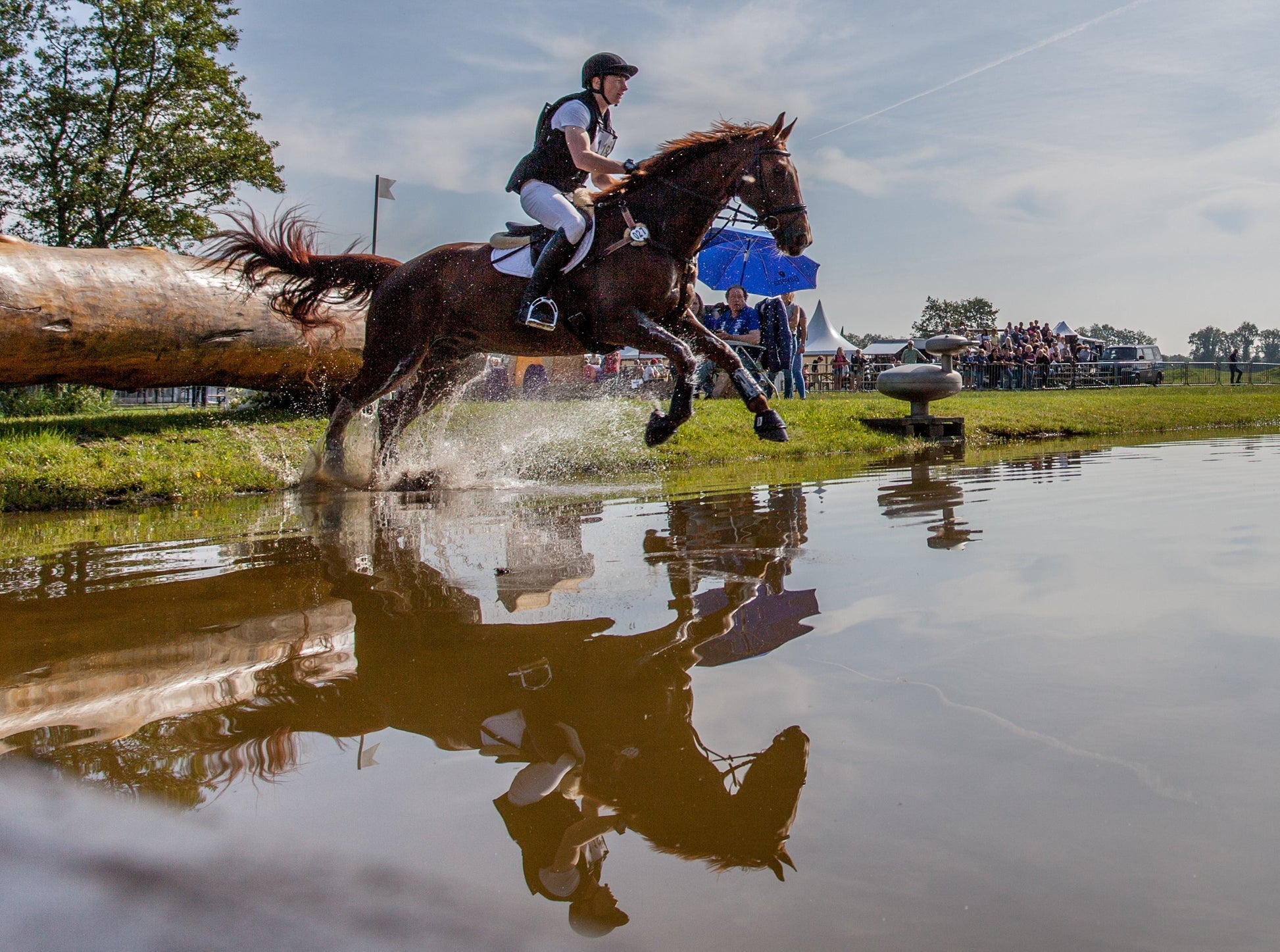 Supporting the Three-Day Event Horse Away from Home