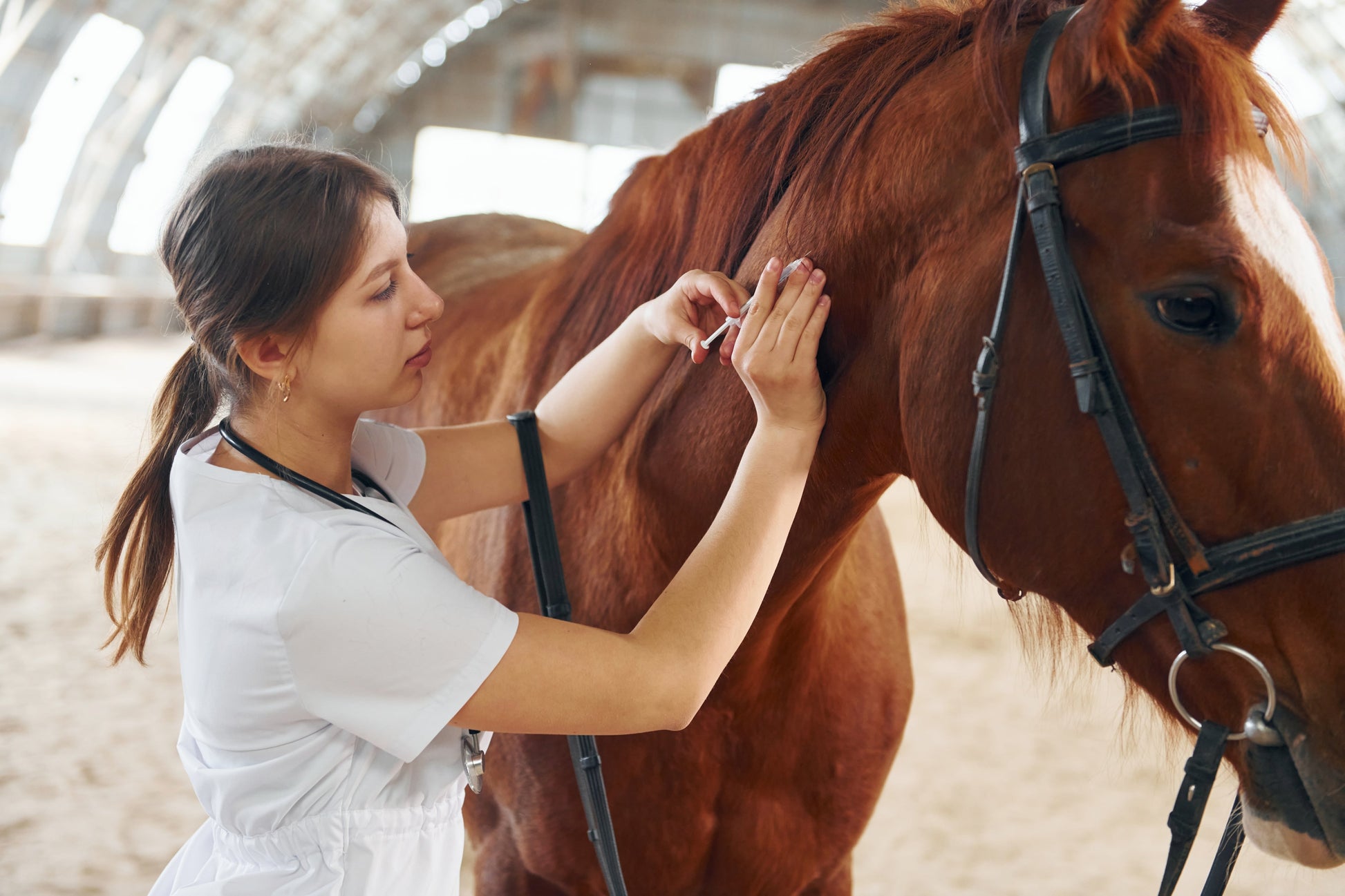 Equine Herpesvirus (EHV): Symptoms, Prevention & How to Protect Your Horse