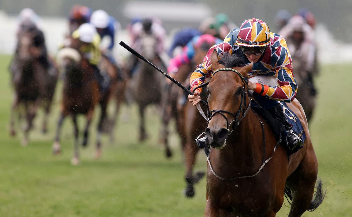Johnny Murtagh enjoys first Royal Ascot victory as a trainer with Create Belief
