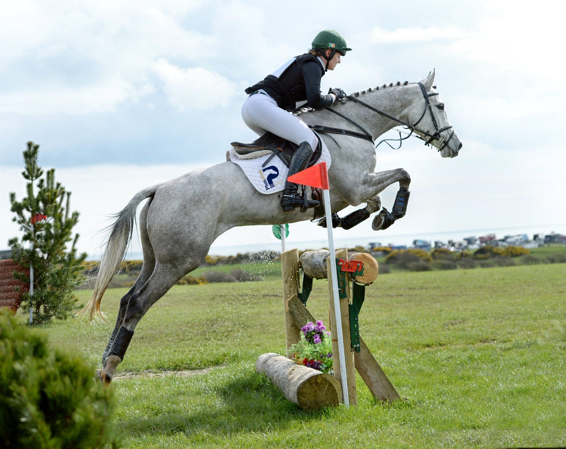Equine Sport Supplements Range