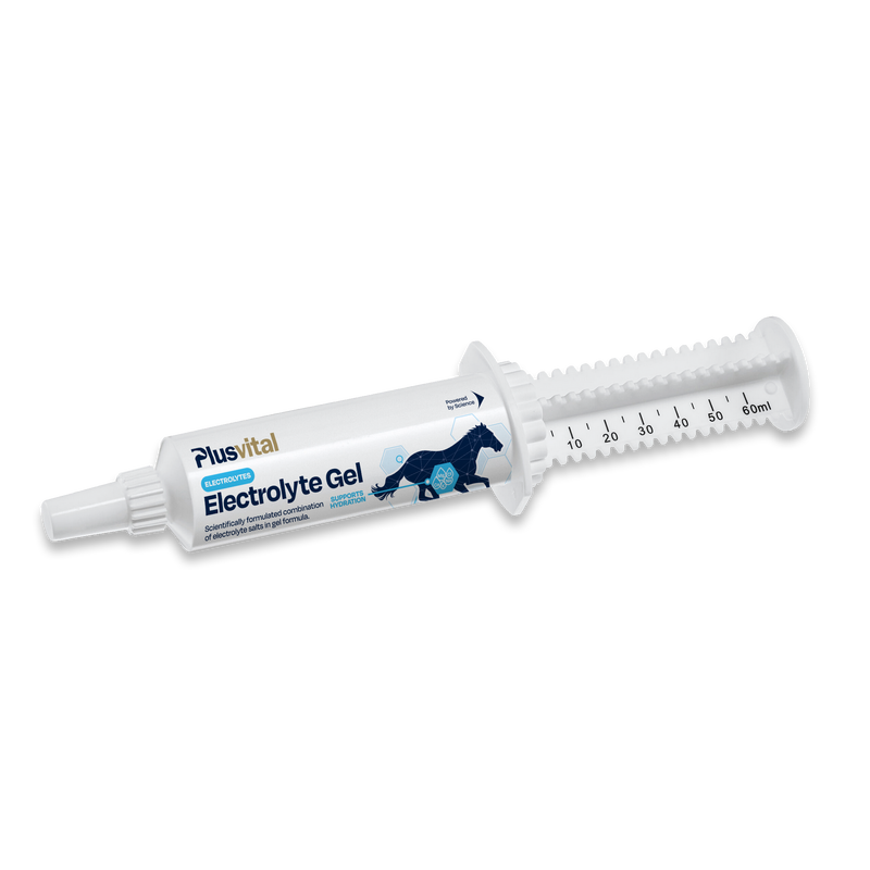 Electrolyte Gel