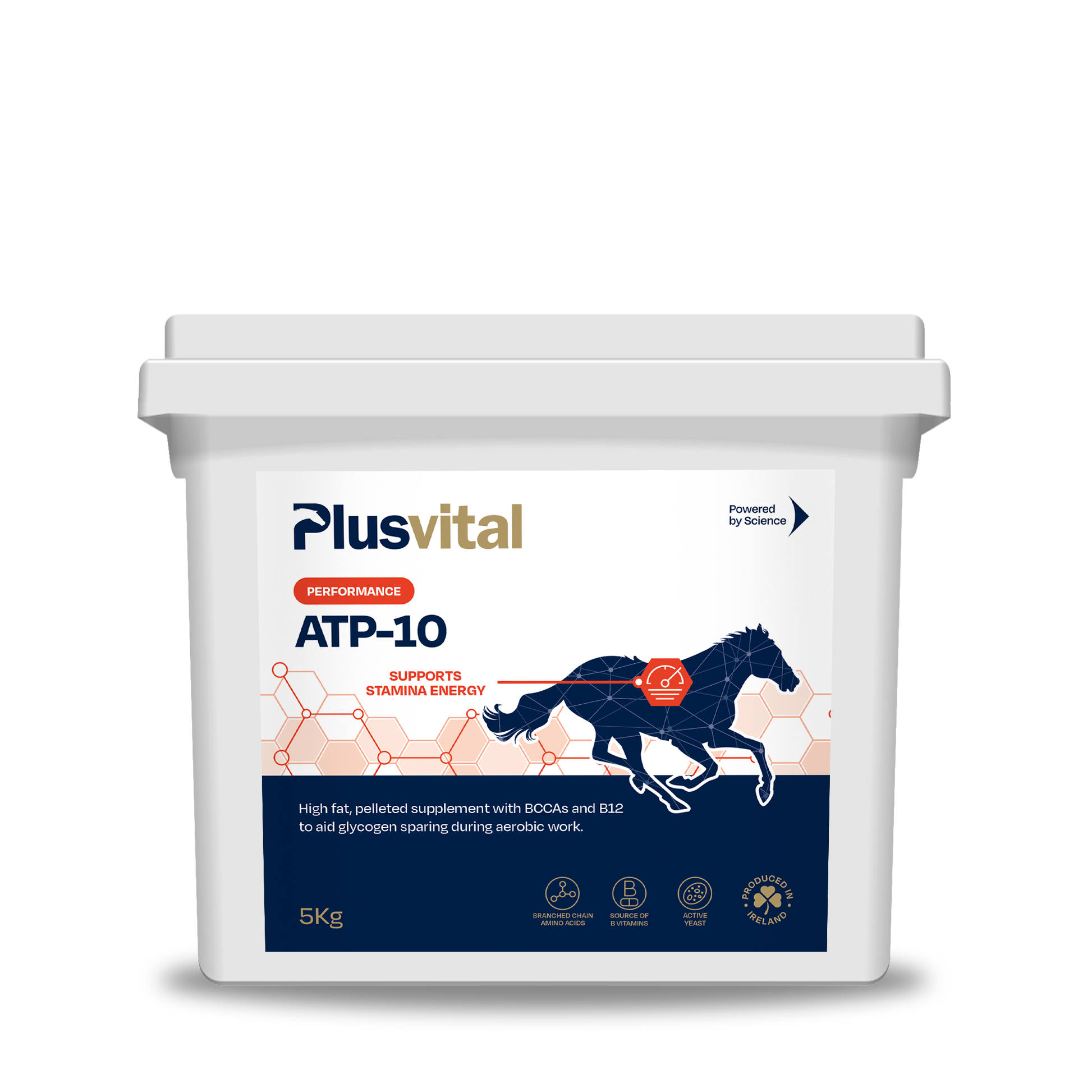 ATP-10