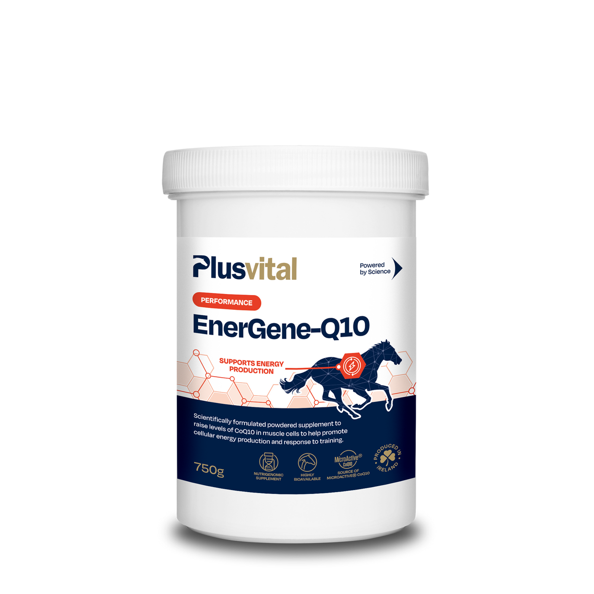 EnerGene-Q10