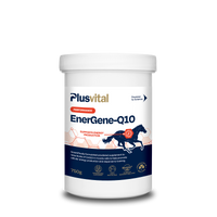 EnerGene-Q10