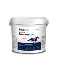 EnerGene-Q10