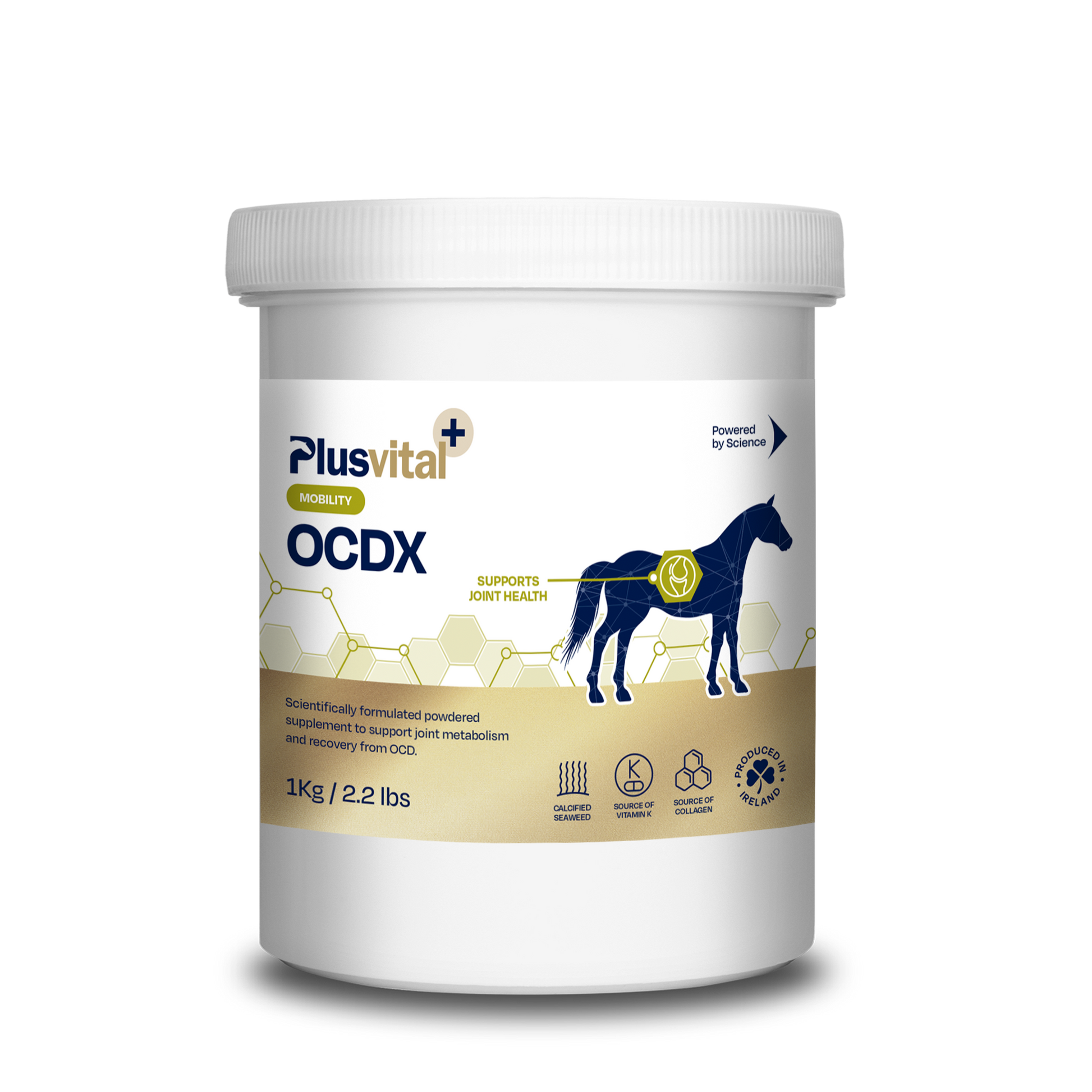 OCDX