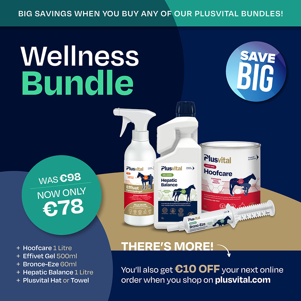 Wellness Bundle