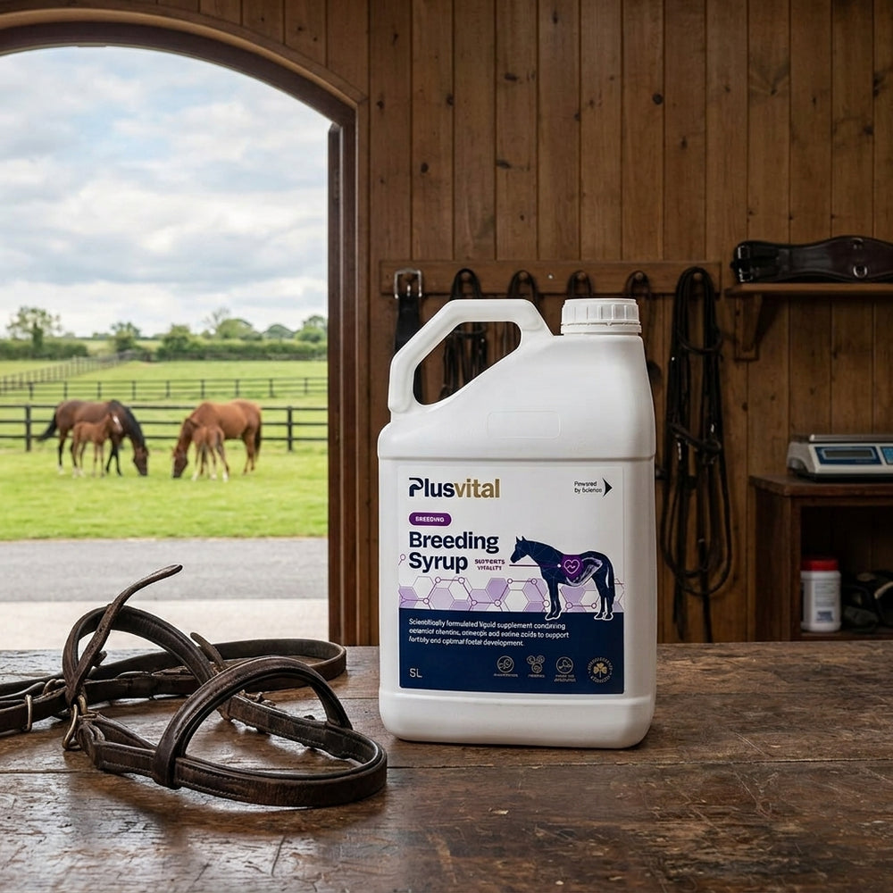 Breeding Syrup – Stud & Mare Vitality Tonic