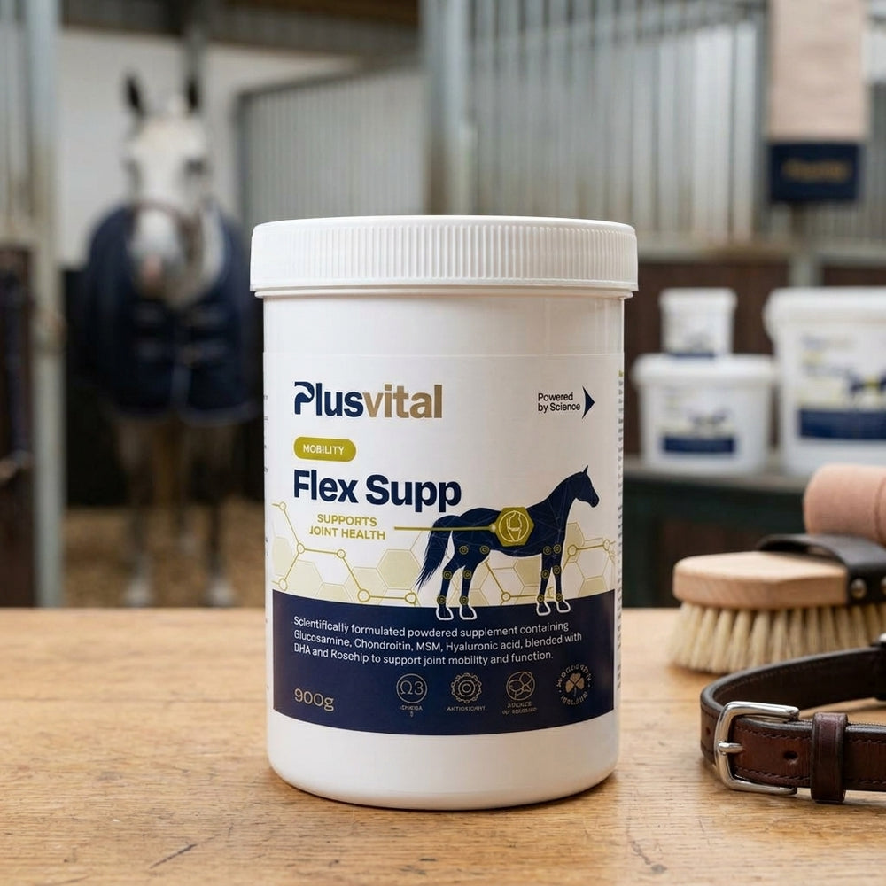 Flex Supp – Advanced Joint & Mobility Powder